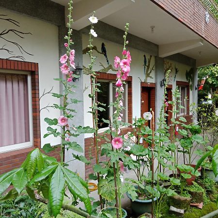 Yi Jia Yuan Homestay Наньчжуан Екстер'єр фото